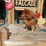 Tana Delle Marmotte Falcade