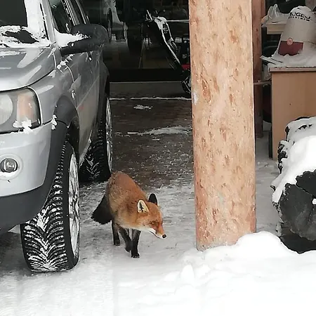 Tana Delle Marmotte Apartamento *