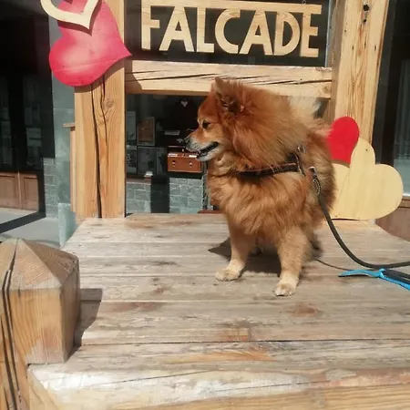 Tana Delle Marmotte Falcade