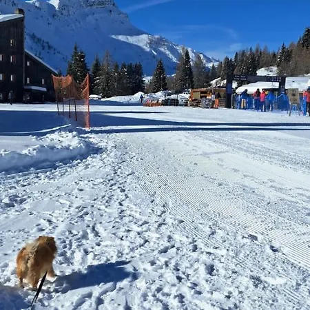 Tana Delle Marmotte Falcade